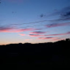 Meet your Posher, Shaylin